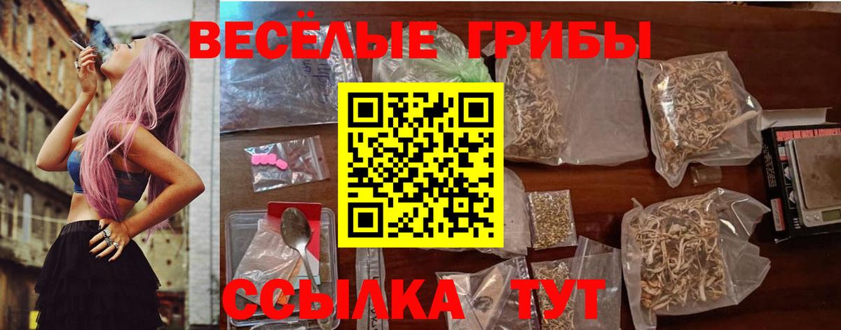 Фурманов  Псилоцибиновые грибы ЛСД  Псилоцибиновые грибы Psilocybine cubensis  Вход с VPN 